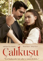 Çalıkuşu poster