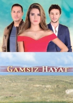 Gamsız Hayat poster