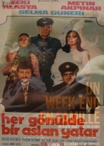 Her Gönülde Bir Aslan Yatar poster