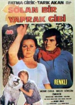 Solan Bir Yaprak Gibi poster